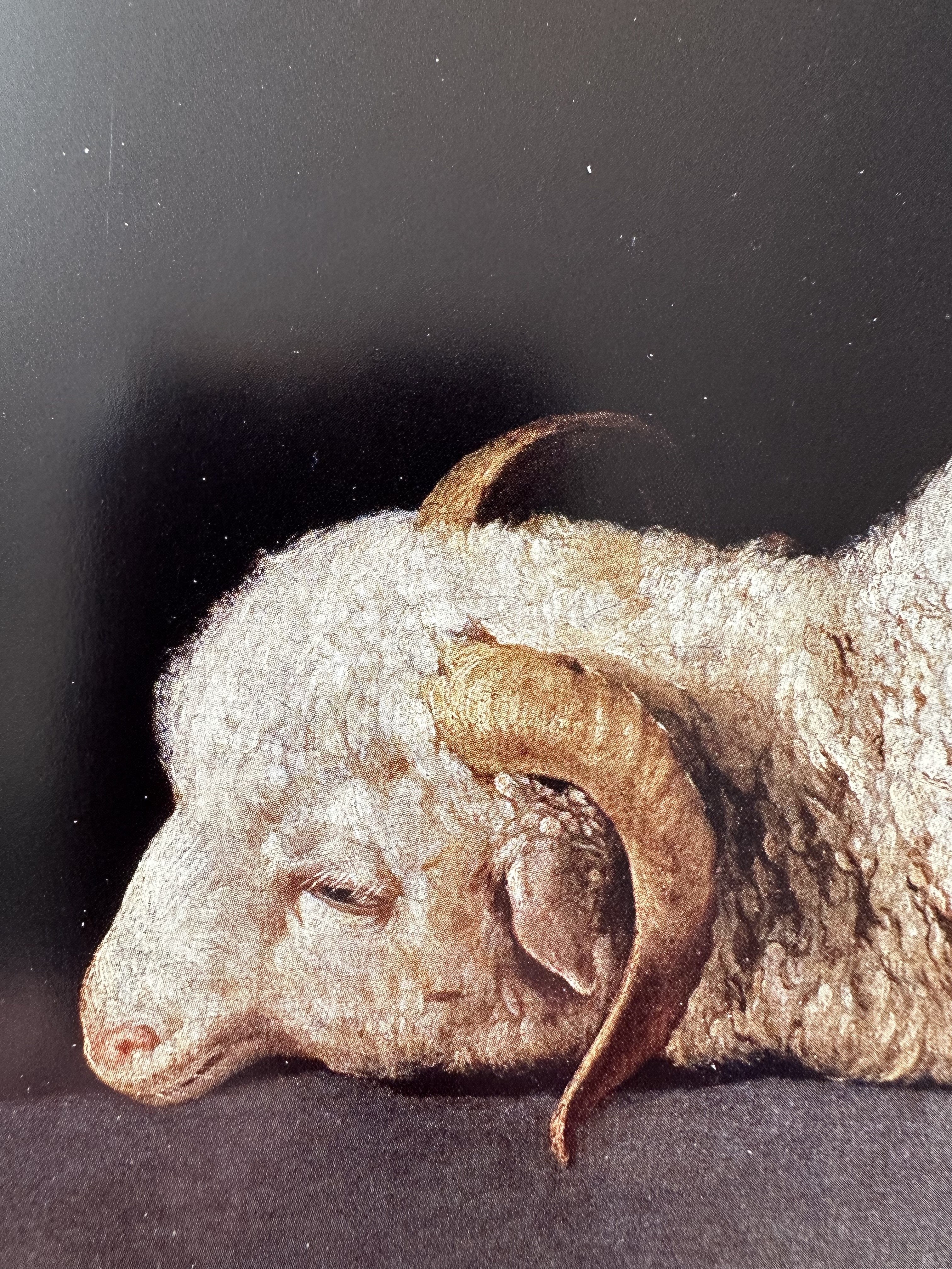 Spanish still life lecture illustration