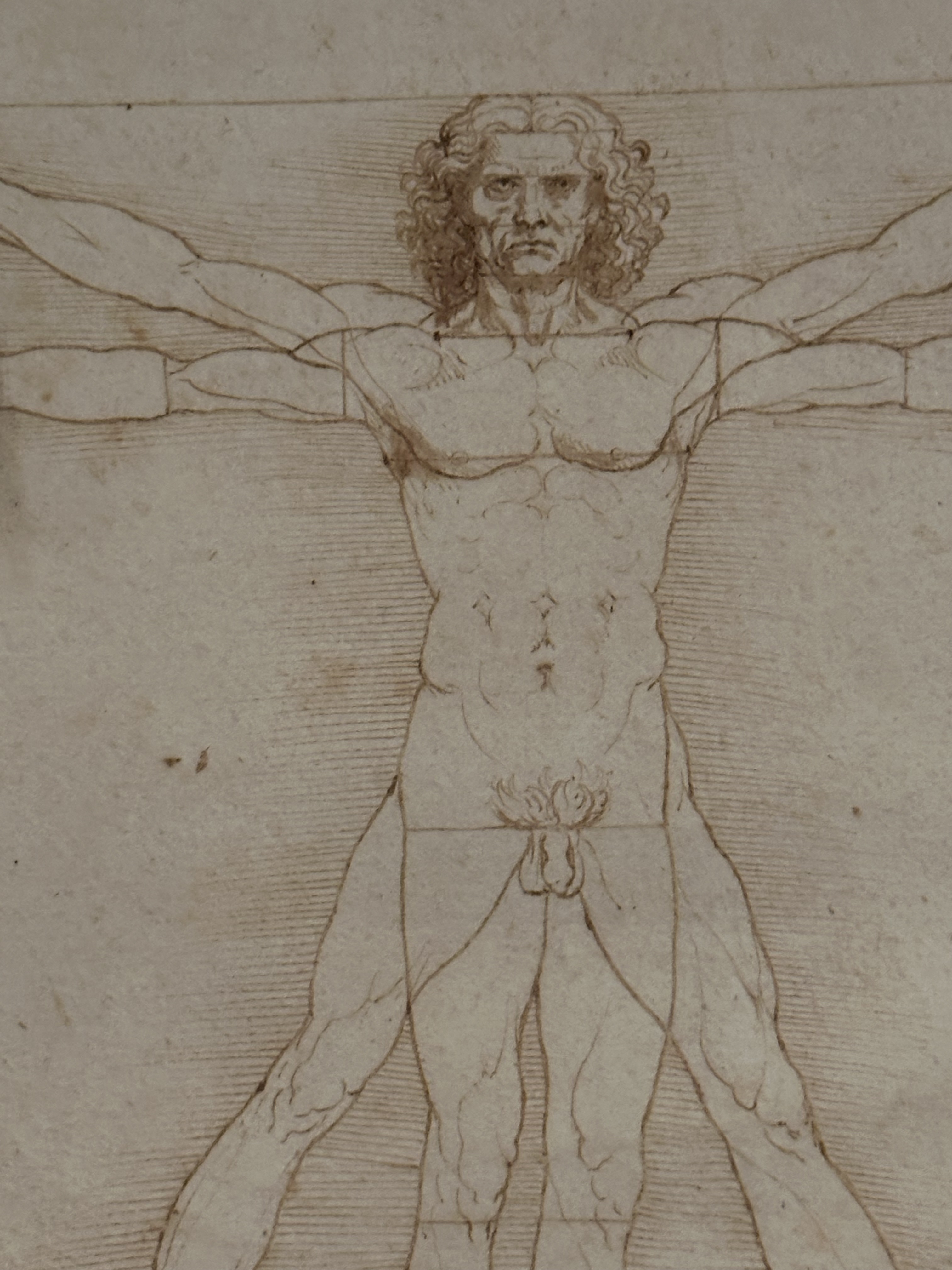 Leonardo anatomical drawing lecture illustration